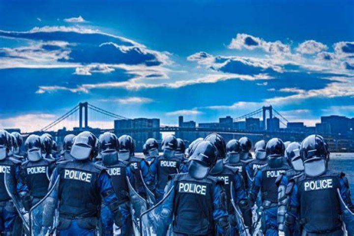What is the number one crime in Japan?