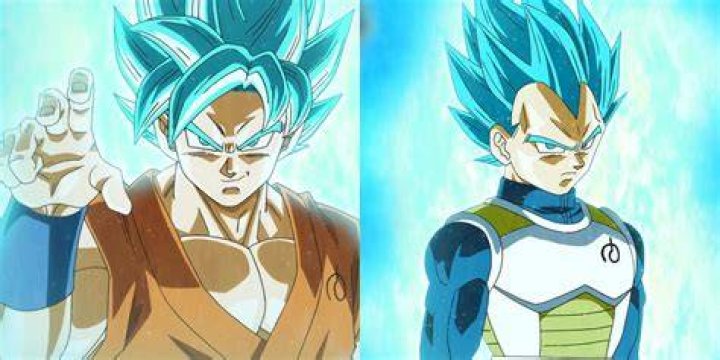 What is Vegetas Super Saiyan blue called?