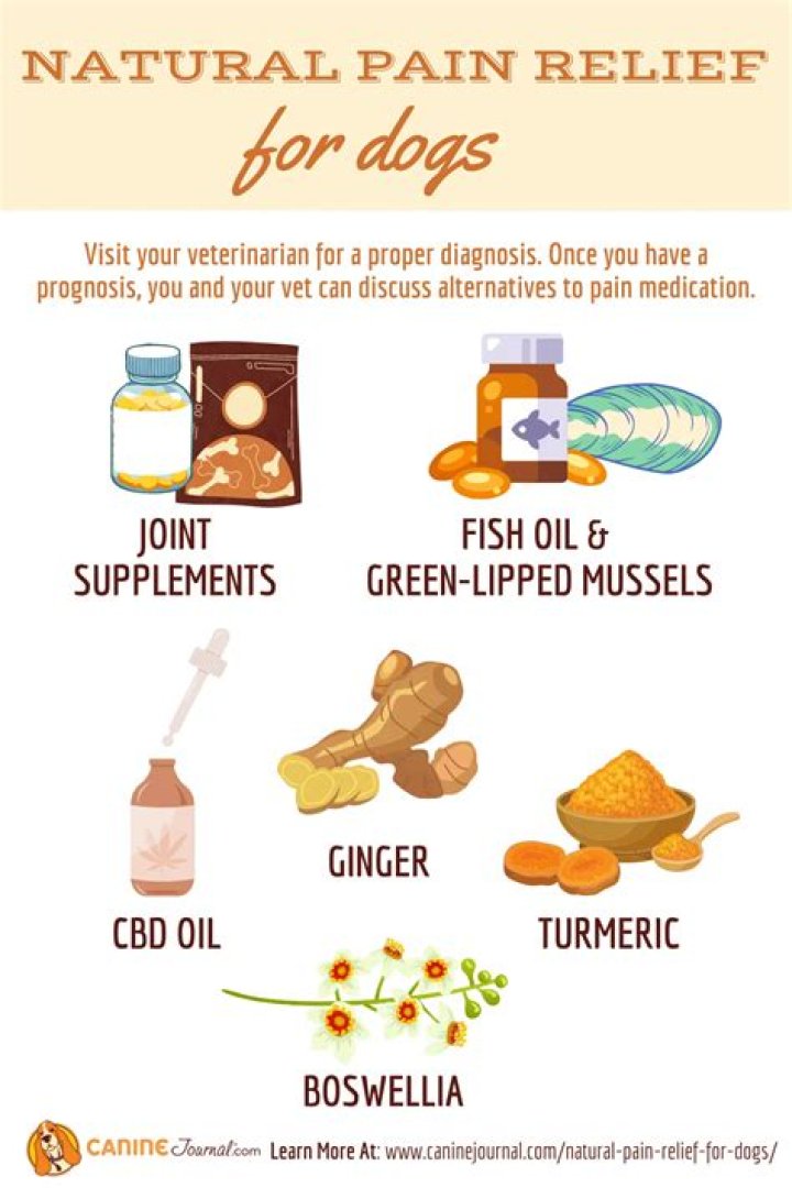 What natural medicine can I give my dog?