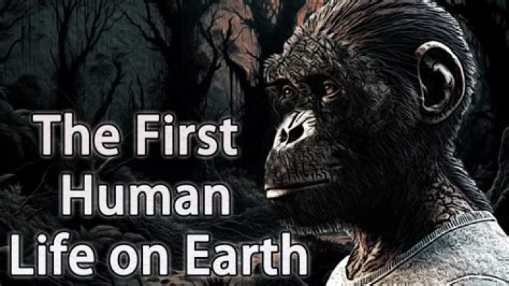 Where do the first humans come from?