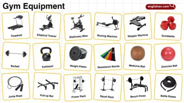 Which gym is most popular?
