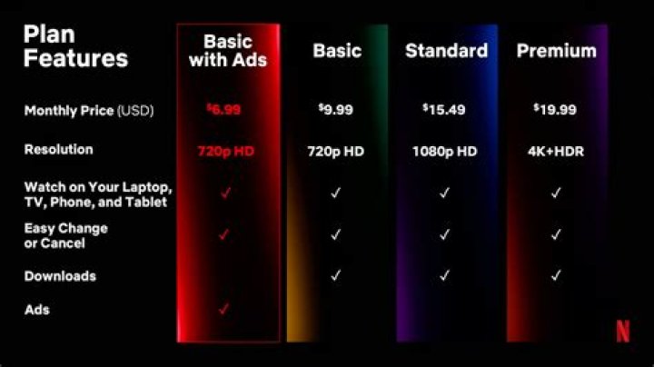Which Netflix plan allows multiple users?