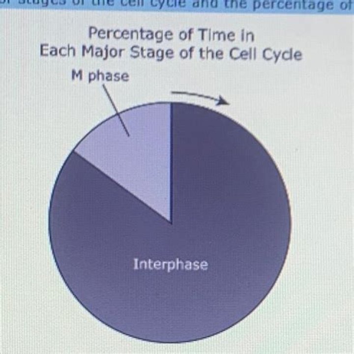 Which phase do cells spend the least amount of time?