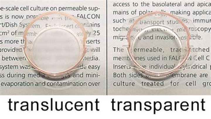 Which testing is known as translucent testing?