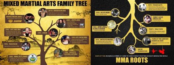 Who Created MMA?