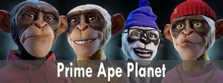 Who created prime ape planet NFT?