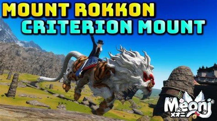 Why does one hen mount another?